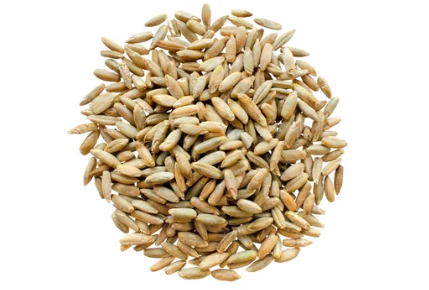 Inulin