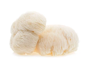 Lions Mane Mushroom