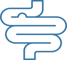 Gut-Brain Connection